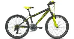 Torpado Viper 24" 21v