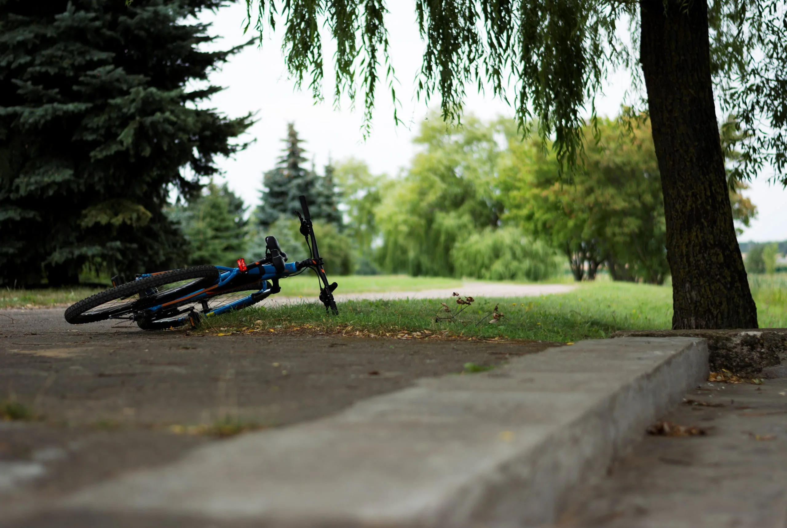 France Vélos Soldes 2023 37 France Vélos Soldes 2023 -France Vélos Soldes 2023 pexels photo 14300718 scaled